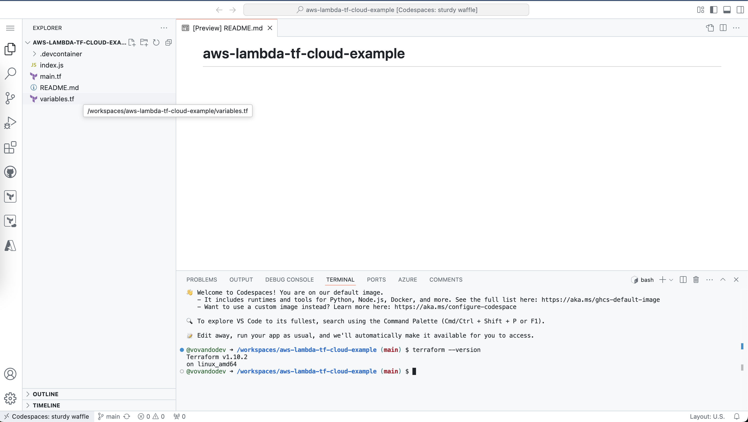 Terraform in GitHub Codespaces | Vovando Dev